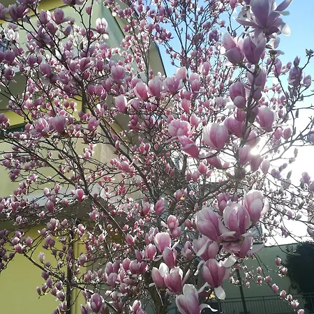 Feriehus La Magnolia Di Ravenna