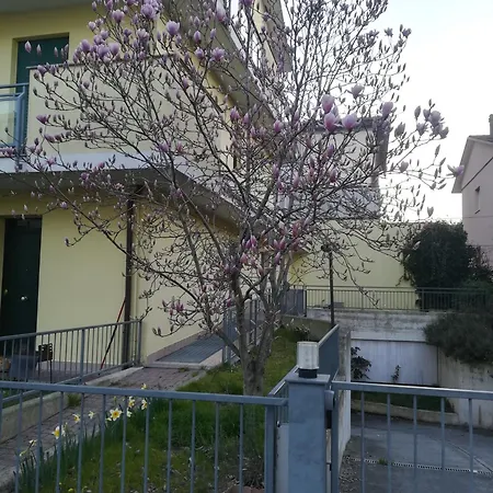 La Magnolia Di Lägenhet Ravenna